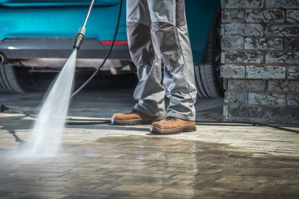 Animal Enclosure Cleaning in Auburn Hills, MI