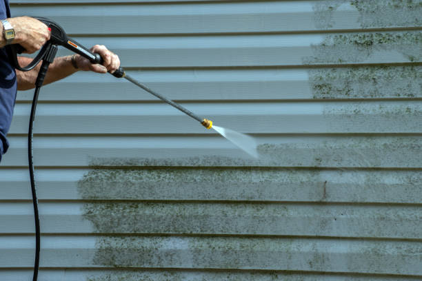 Best Solar Panel Cleaning  in Auburn Hills, MI